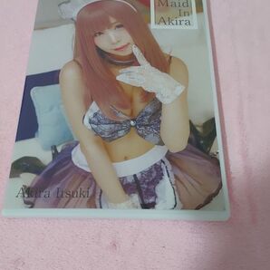 CDソフト Maid in Akira 五木あきら