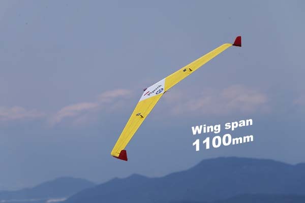 絶版品 マンバ2000 無尾翼機 ラジコン飛行機 Yahoo!オークション -「尾翼」(飛行機) (ホビーラジコン)の落札