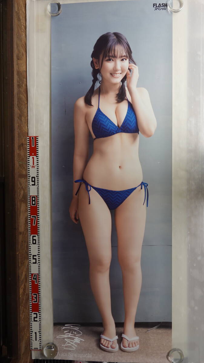 Yahoo!オークション -「沢口愛華 等身大ポスター」の落札相場 Yahoo!オークション -「沢口愛華 等身大ポスター」の落札相場