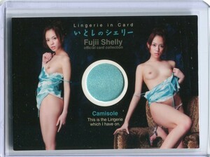 アクラス 藤井シェリー 2010 衣装 コスチューム カード 211/260