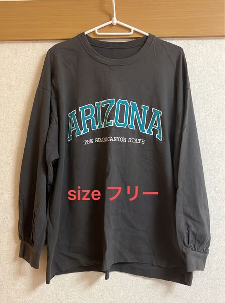 英字ロゴ Tシャツ ダークグレー size フリー