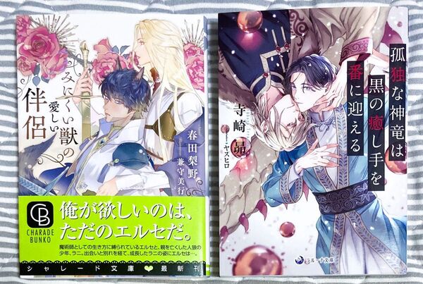 BL小説 2冊セット 春田梨野 寺嶋昴 Dom/Subユニバース