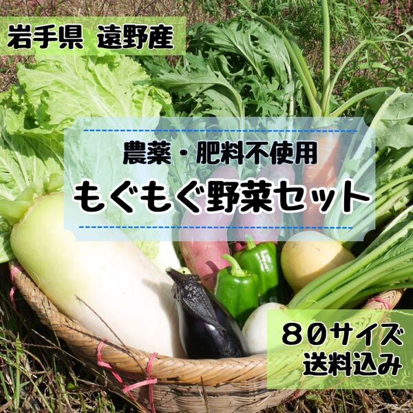 \\\\農家直送 子どもも喜ぶ美味しい野菜//野菜セット 野菜詰め合わせ 80サイズ《農薬不使用》