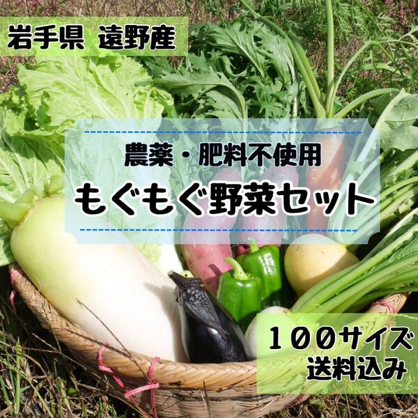 \\\\80サイズの約2倍 子どもも喜ぶ野菜//野菜セット 野菜詰め合わせ 100サイズ《農薬・肥料不使用》