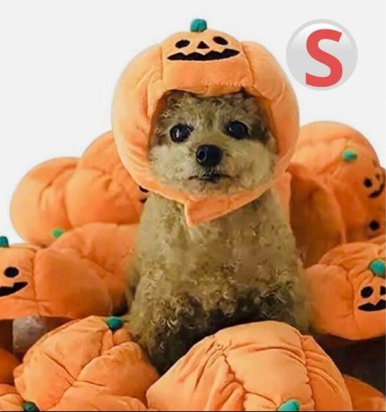 犬猫用ハロウィン帽子S仮装かぼちゃオレンジ 被り物かぼちゃ パンプキンイベント 小型犬