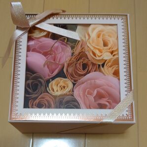 francfranc カドミニョン パスペタルPK