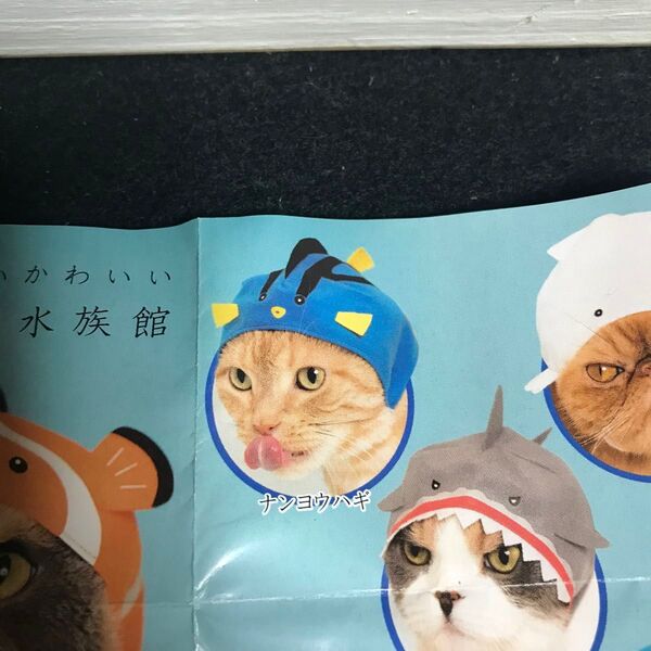 猫の被り物 ナンヨウハギ
