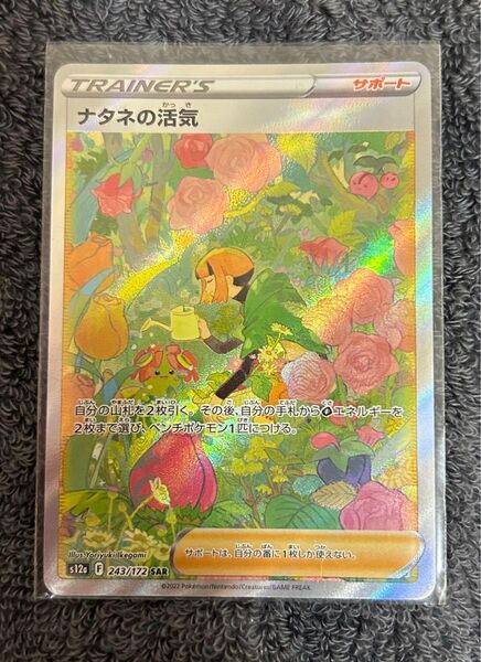 ポケモンカードゲーム ナタネの活気 SAR