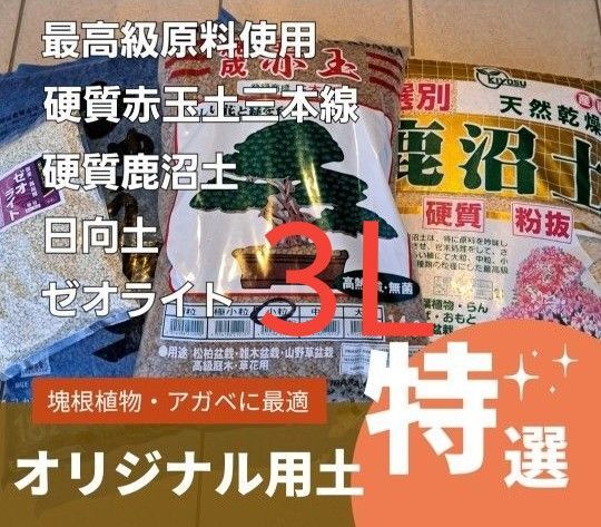 硬質赤玉土 赤玉土三本線 塊根植物用土 グラキリス 塊根 コーデックス パキポディウム アガベ 多肉植物 パキプス チタノタ