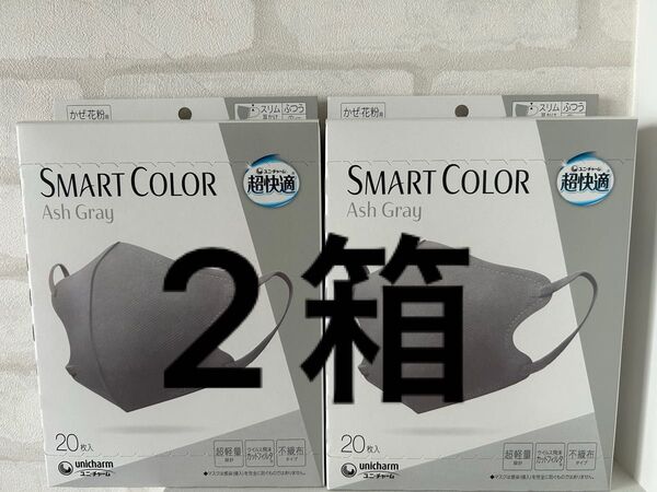 ユニチャーム 超快適 アッシュグレー unicharm マスク 超快適マスク スマートカラー smartcolor 2箱