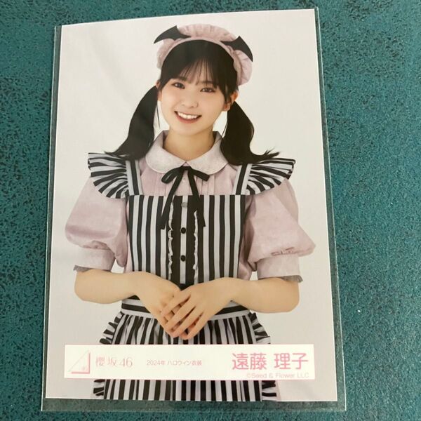 櫻坂46 遠藤理子 生写真 2024ハロウィン衣装 チュウ