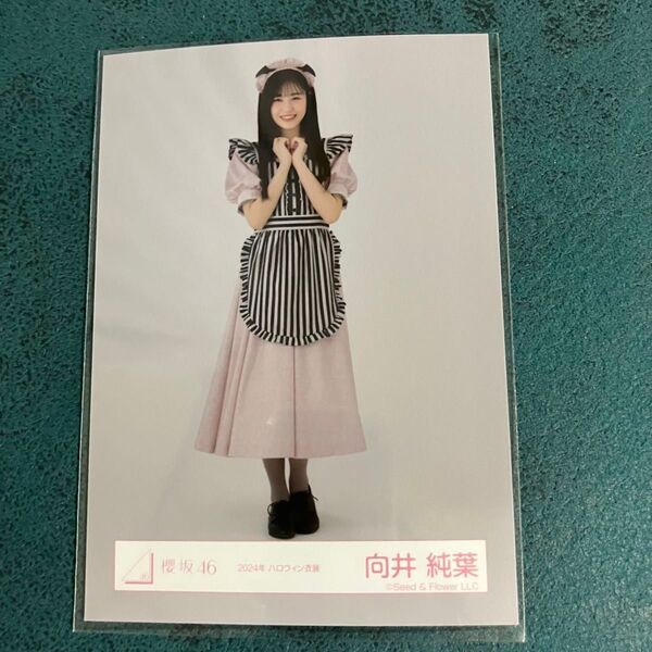 櫻坂46 向井純葉 生写真 2024ハロウィン衣装 ヒキ