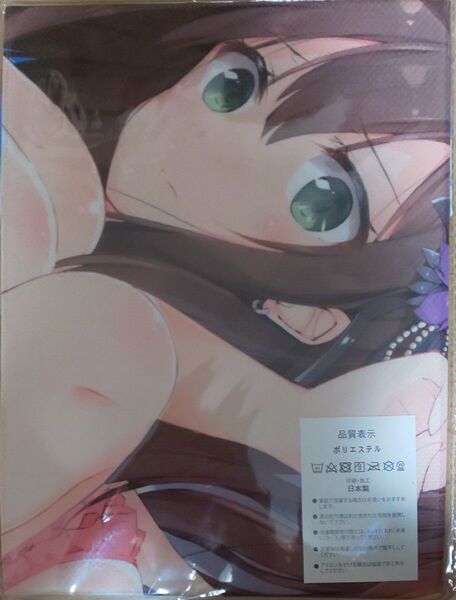 アイドルマスター タオル 布ポスター
