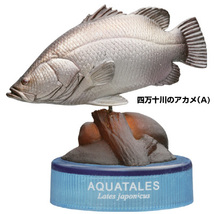 中国四国物産展 四万十川のアカメ (A)(B) 2個 高知県 アカメ 赤目 魚 淡水魚 巨大魚 アクアテイルズ 海洋堂 中国四国 フィギュア みやげ_画像10