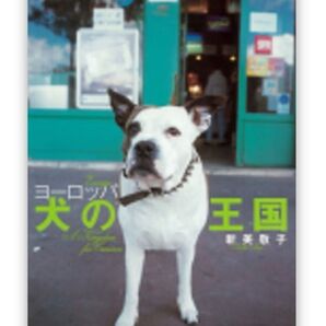 ヨーロッパ 犬の王国 新美敬子 著 中古本