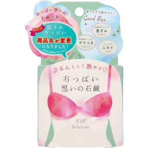 おっぱい想いの石鹸 70g 黒ズミ ザラつき 臭い バストケア 石鹸