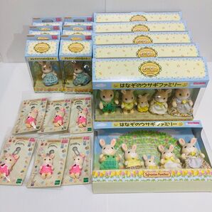 シルバニアファミリー はなぞのウサギファミリー はなぞのうさぎの女の子 福岡 限定 香椎花園 Sylvanian Families