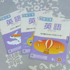 ポピー 英語 小学6年生