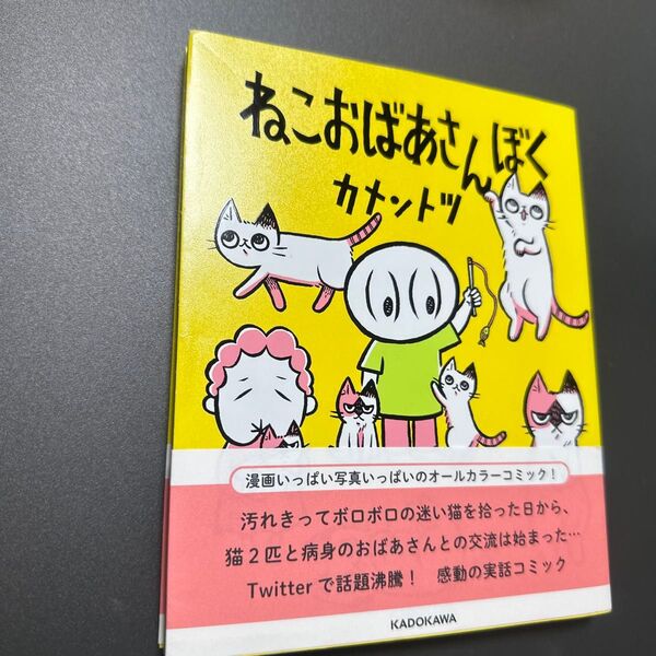 ねこおばあさんぼく カメントツ/さく