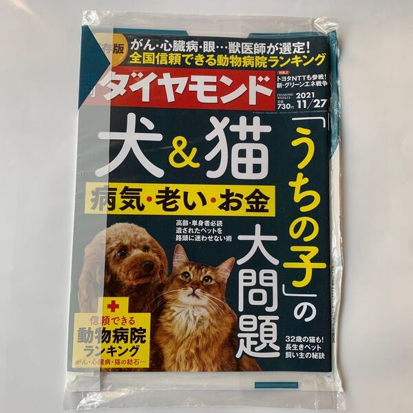 週刊ダイヤモンド 2021年11月27日号 (ダイヤモンド社)