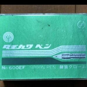 タチカワペン先◆スプーンペン◆クローム◆№600 EF--細字◆1グロス