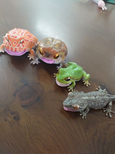 カエル ヤモリ ガチャガチャ 4種