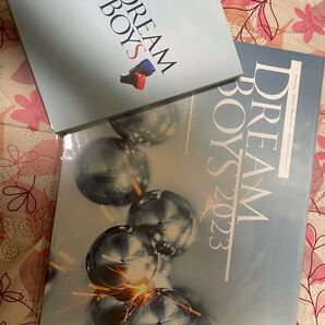 渡辺翔太 森本慎太郎 ドリームボーイズ BluRay パンフレット