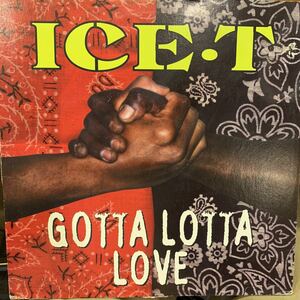 US.Original/Ice-T/Gotta Lotta Love/プロモ盤 中古レコード