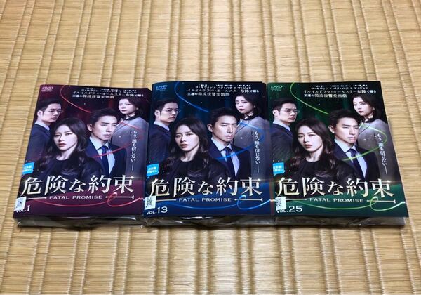 DVD 危険な約束 コ・セウォン パク・ハナ 韓国ドラマ レンタル落ち