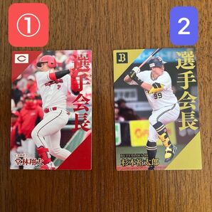 堂林翔太 杉本裕太郎 選手会長カード プロ野球チップス24 2枚セット