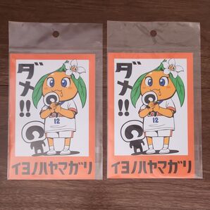 たまひめちゃん イヨノハヤマガリ ステッカー2枚