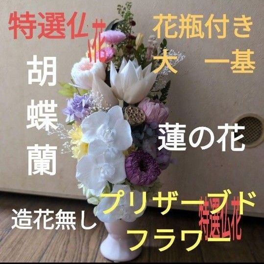 特選仏花 花瓶付き 胡蝶蘭 造花無し プリザーブドフラワー