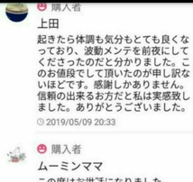 大社金札お守り豪華キラキラ財布に入るサイズ　稀少限定社殿お守り　金運巡らせ人生好転　お金の念を金運向上プラスエネルギーにします。_画像5