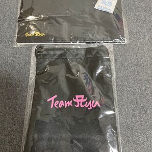 【新品未開封非売品】浜崎あゆみ ファンクラブ オリジナルキーケース&オリジナル巾着