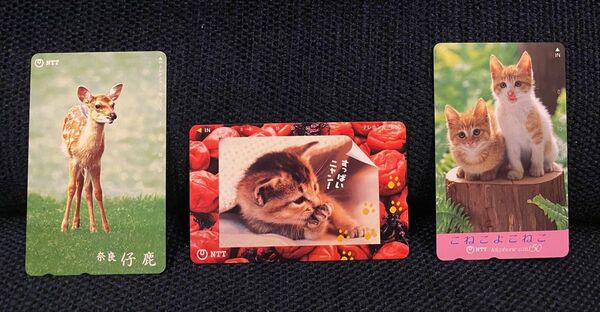 未使用 テレホンカード 動物 猫 仔鹿 アニマルテレホンカード 50度数 3枚セット
