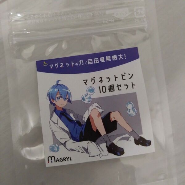 マグネット付きピン 10個セット MAGRYL 壁掛け キーホルダー ストラップ 壁 マグネットフック 収納 磁石 強力