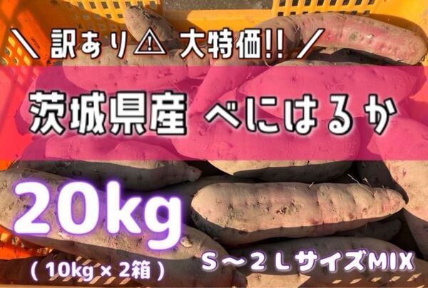 訳あり さつまいも 【 茨城県産 紅はるか サイズMIX 10kg×2箱 】