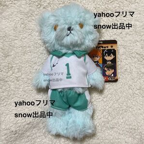 【匿名配送】 ハイキュー イメージベア 青葉城西 及川 徹 レア 希少