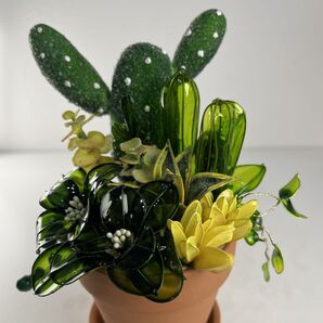 アメリカンフラワー 多肉植物寄せ植え