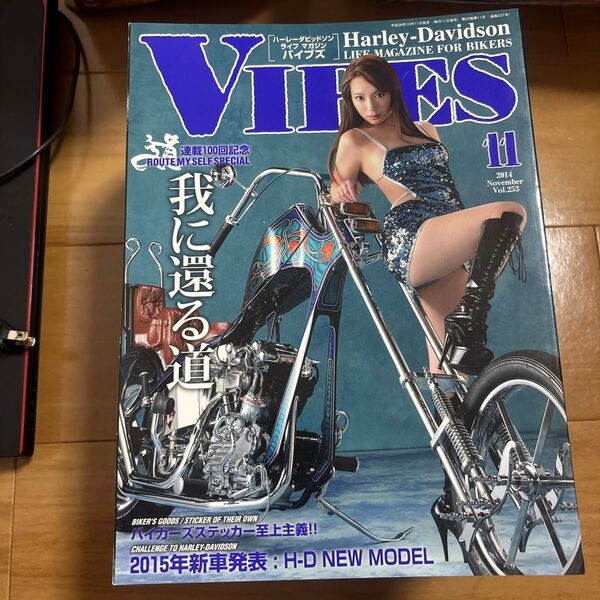 VIBES バイブズ Vol.253 2014年11月号