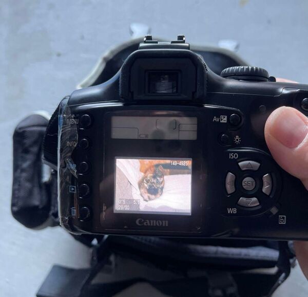 Canon EOS