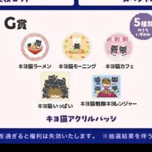 キヨ 東キヨドーム G賞 F賞セット