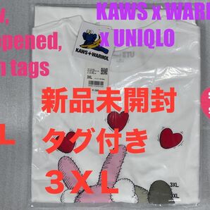 3XL☆新品☆UNIQLO×KAWS+WARHOL カウズ+ウォーホル UT⑩
