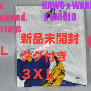 3XL☆新品☆UNIQLO×KAWS+WARHOL カウズ+ウォーホル UT⑫