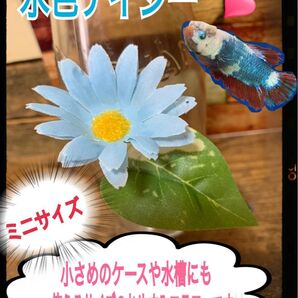 ベタ おやすみフラワー ミニ! 水色デイジー