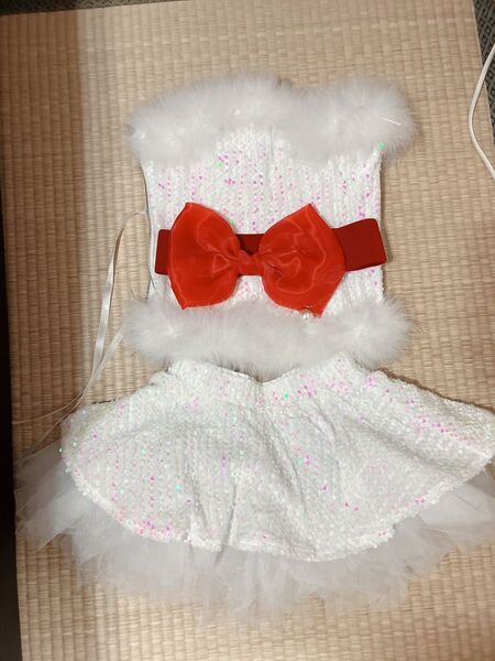 値下げしました!!クリスマス イベント コスプレ 衣装