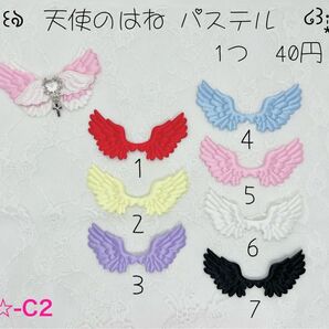 新商品入荷 ★-C2 天使のはね パステル エンジェル センターパーツ