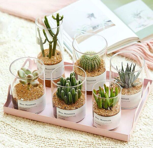 多肉植物鉢 フラワーポット サボテン鉢 プランター容器 ガラス鉢
