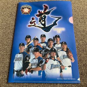 北海道日本ハムファイターズ クリアファイル 限定品