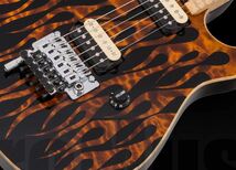 超絶レア★メンバー直筆サインCDジャケット付属★PEAVEY Wolfgang EVH 世界に1本！ Custom Shopオーダー！！_画像2